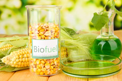 The Rhydd biofuel availability